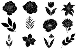 Collection of silhouette flower and leaf elements vector