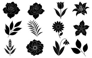 Collection of silhouette flower and leaf elements vector