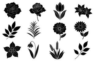 colección de silueta flor y hoja elementos vector