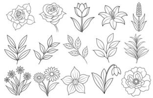 Collection of flower and leaf elements for design for invitation, greeting card, quote, blog, poster. vector