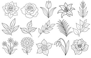 Collection of flower and leaf elements for design for invitation, greeting card, quote, blog, poster. vector