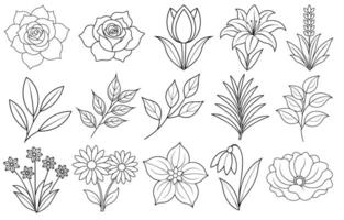 Collection of flower and leaf elements for design for invitation, greeting card, quote, blog, poster. vector