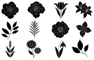 Collection of silhouette flower and leaf elements vector