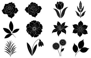 Collection of silhouette flower and leaf elements vector