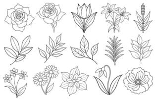 Collection of flower and leaf elements for design for invitation, greeting card, quote, blog, poster. vector