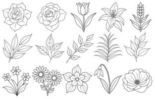 Collection of flower and leaf elements for design for invitation, greeting card, quote, blog, poster. vector