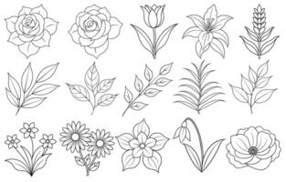 Collection of flower and leaf elements for design for invitation, greeting card, quote, blog, poster. vector