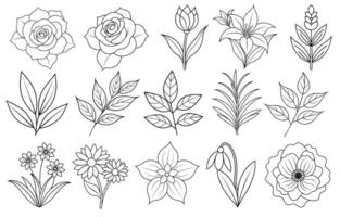 colección de flor y hoja elementos para diseño para invitación, saludo tarjeta, cita, Blog, póster. vector