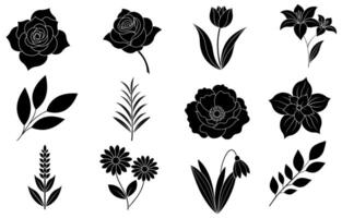 Collection of silhouette flower and leaf elements vector