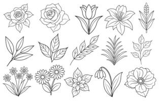 Collection of flower and leaf elements for design for invitation, greeting card, quote, blog, poster. vector