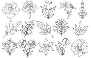 Collection of flower and leaf elements for design for invitation, greeting card, quote, blog, poster. vector