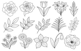 Collection of flower and leaf elements for design for invitation, greeting card, quote, blog, poster. vector