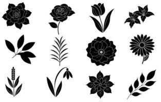 Collection of silhouette flower and leaf elements vector