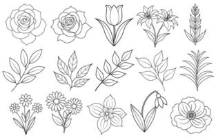 Collection of flower and leaf elements for design for invitation, greeting card, quote, blog, poster. vector