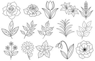 Collection of flower and leaf elements for design for invitation, greeting card, quote, blog, poster. vector