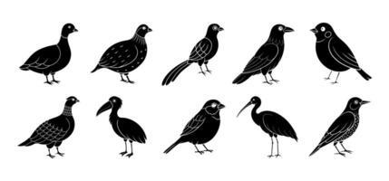 Collection of bird silhouette elements vector