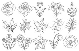 Collection of flower and leaf elements for design for invitation, greeting card, quote, blog, poster. vector