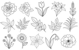 Collection of flower and leaf elements for design for invitation, greeting card, quote, blog, poster. vector