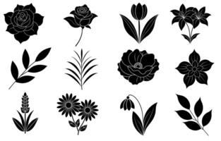 Collection of silhouette flower and leaf elements vector