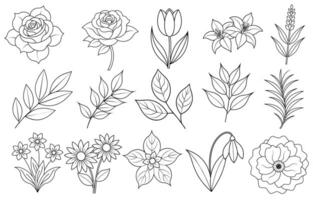 Collection of flower and leaf elements for design for invitation, greeting card, quote, blog, poster. vector