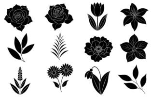 Collection of silhouette flower and leaf elements vector