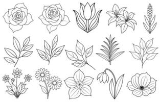 Collection of flower and leaf elements for design for invitation, greeting card, quote, blog, poster. vector