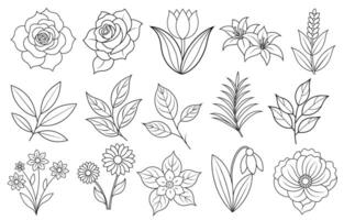 Collection of flower and leaf elements for design for invitation, greeting card, quote, blog, poster. vector