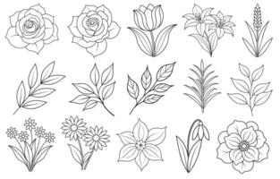 Collection of flower and leaf elements for design for invitation, greeting card, quote, blog, poster. vector