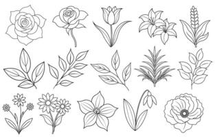 Collection of flower and leaf elements for design for invitation, greeting card, quote, blog, poster. vector