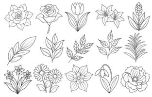 Collection of flower and leaf elements for design for invitation, greeting card, quote, blog, poster. vector