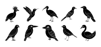 Collection of bird silhouette elements vector