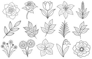 Collection of flower and leaf elements for design for invitation, greeting card, quote, blog, poster. vector