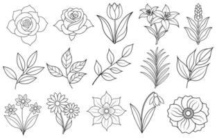 Collection of flower and leaf elements for design for invitation, greeting card, quote, blog, poster. vector