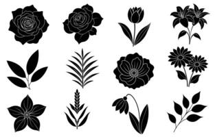 Collection of silhouette flower and leaf elements vector