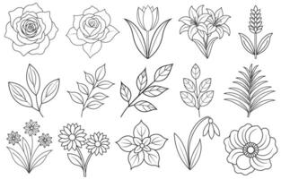 Collection of flower and leaf elements for design for invitation, greeting card, quote, blog, poster. vector