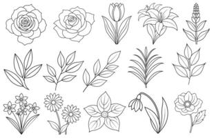 colección de flor y hoja elementos para diseño para invitación, saludo tarjeta, cita, Blog, póster. vector