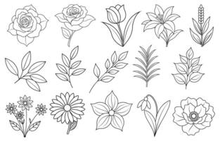 Collection of flower and leaf elements for design for invitation, greeting card, quote, blog, poster. vector