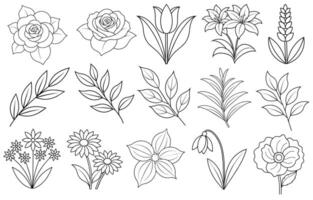 colección de flor y hoja elementos para diseño para invitación, saludo tarjeta, cita, Blog, póster. vector