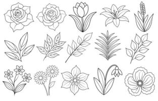 Collection of flower and leaf elements for design for invitation, greeting card, quote, blog, poster. vector