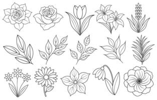 Collection of flower and leaf elements for design for invitation, greeting card, quote, blog, poster. vector