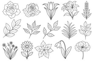 Collection of flower and leaf elements for design for invitation, greeting card, quote, blog, poster. vector