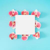 Trendy spring composition made with pink orchid flowers neatly arranged on blue background with paper card note copy space. Minimal layout. Nature summer concept. Flowers aesthetic. Flat lay. photo