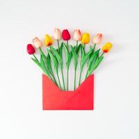 Spring composition made with colorful tulip flowers coming out of red envelope on white background. Minimal concept. Creative spring flowers idea. Nature flat lay. photo