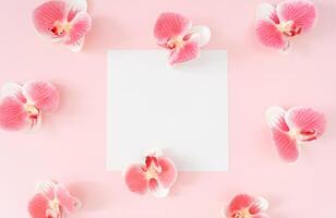 Trendy spring pattern made of pink orchid flower on pastel pink background with paper card note copy space. Minimal floral layout. Nature summer concept. Flowers aesthetic pattern backdrop. Flat lay. photo