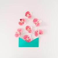 Creative composition made with beautiful orchid flowers coming out of green envelope on white background. Minimal concept. Trendy spring and summer flowers idea. Nature flat lay. photo