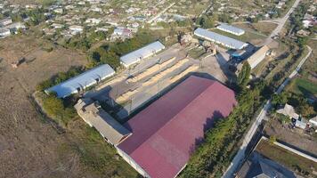 Hangar for storage of grain. A platform for drying and sintering grain. Harvested grain photo