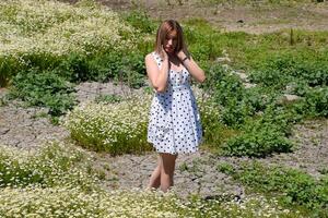 A woman in a white dress with polka dots is on a glade with daisies. Blooming daisies photo