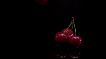 Cherry slow motion closeup falling in water with Splash droplets on black background macro shot cooking video