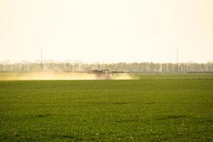 tractor con el ayuda de un rociador aerosoles líquido fertilizantes en joven trigo en el campo. foto