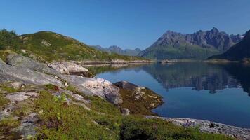 il fuco è volante attraverso un' tenda collocato su il riva di il norvegese fiordo. avventura e viaggio concetto. lofoten isole. 4k video